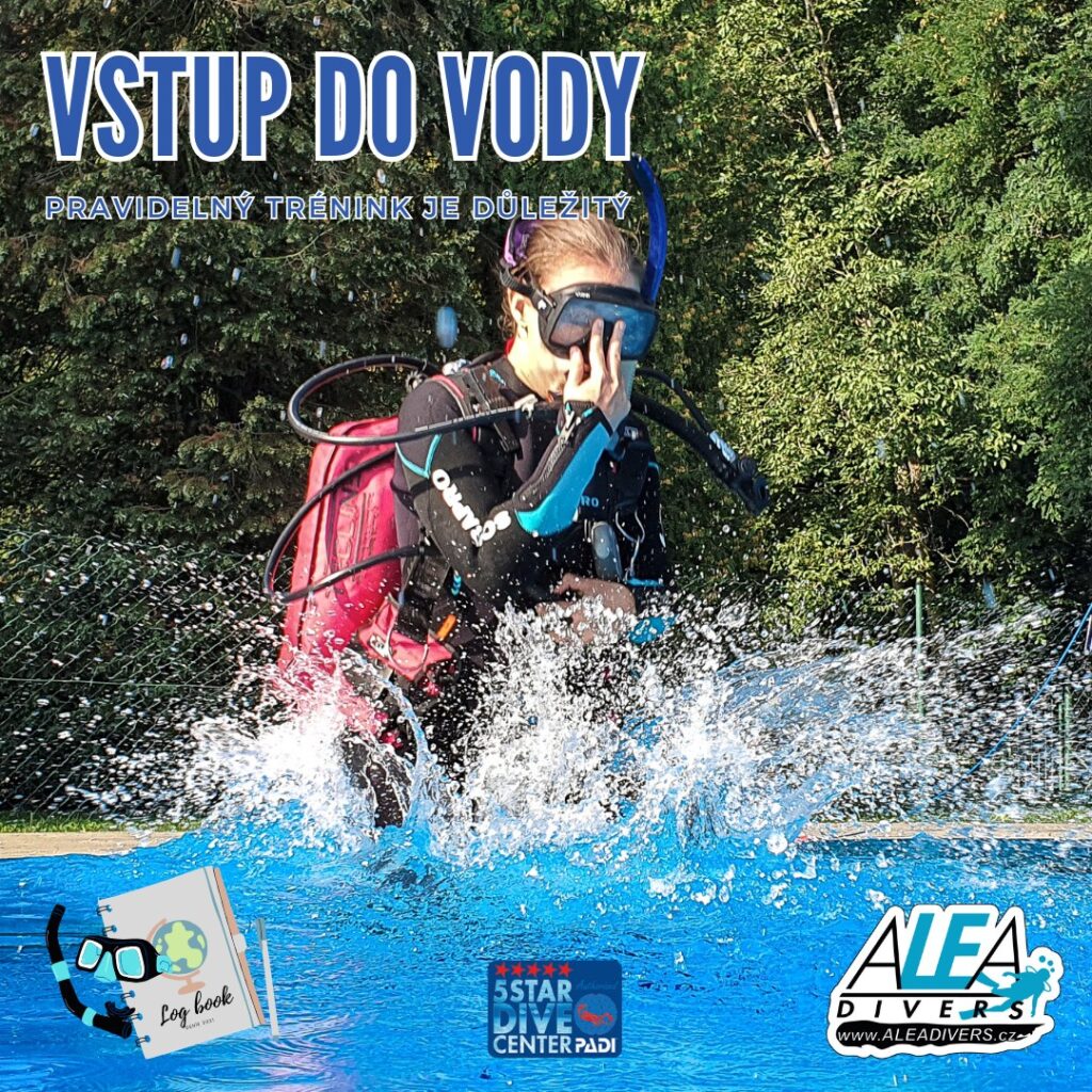 Jak dlouho po kurzu potápění byste si měli udělat refresh/kondiční ponor s instruktorem, pokud jste se mezitím nepotápěli?
👍 1 měsíc
❤️