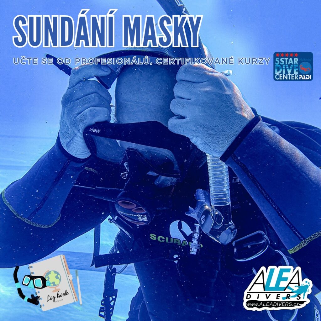 Kdy jste si naposledy sundavali masku pod vodou? 

👍 nesundavám, ale pravidelně vyplachuji, aby se mi nemlžila
❤️ běžně při každém